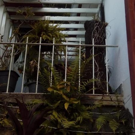 Hostel Mdemarilia Nova Friburgo Eksteriør bilde
